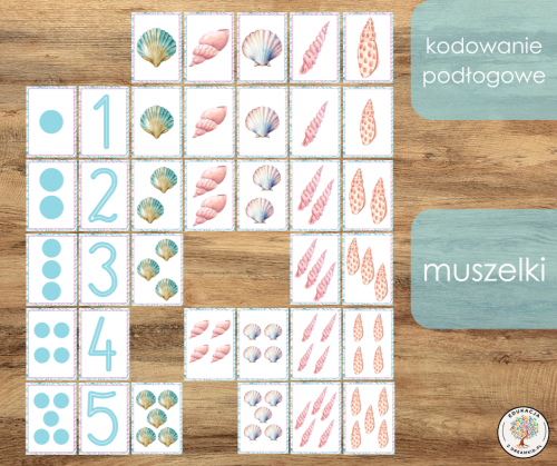 kodowanie podłogowe - muszelki.png