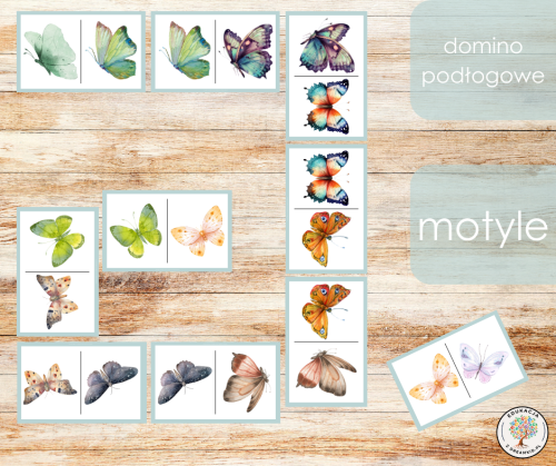 domino podłogowe - motyle - nowe.png