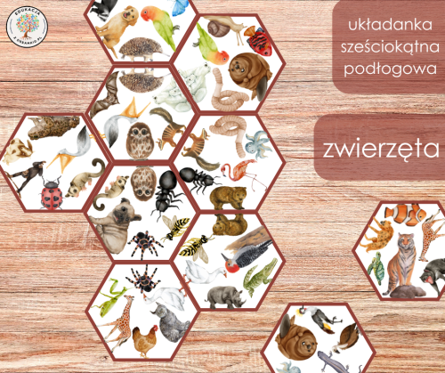 układanka sześciokątna - zwierzęta.png