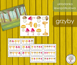 Układanka lewopółkulowa - grzyby