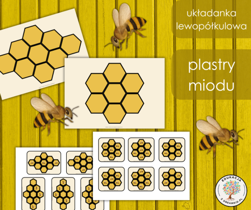 układanka lewopółkulowa - plastry miodu nowe.png