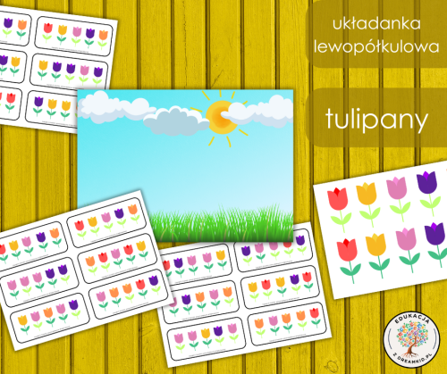 układanka lewopółkulowa - tulipany nowe (1).png
