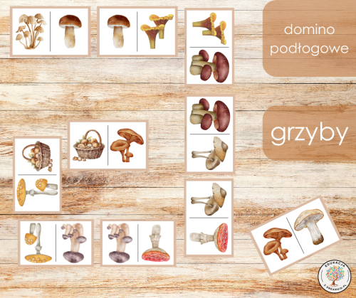 domino podłogowe - grzyby.png