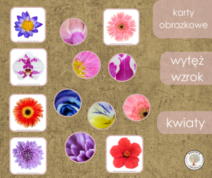 Gra - wytęż wzrok  - kwiaty