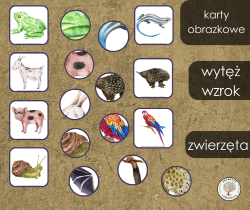 wytęż wzrok - zwierzęta.png