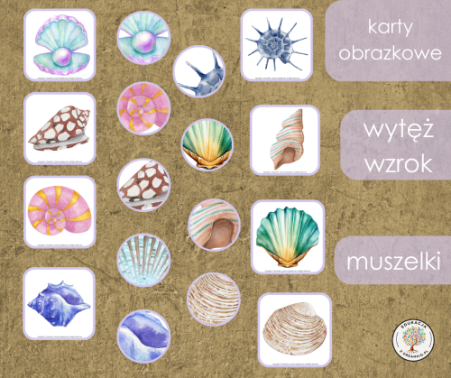 wytęż wzrok - muszelki.png