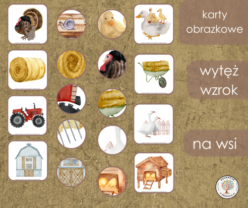 wytęż wzrok - na wsi.png