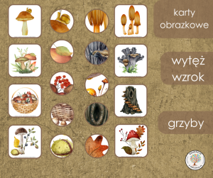 Wytęż wzrok - grzyby