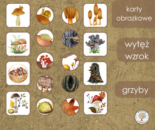 wytęż wzrok - grzyby.png