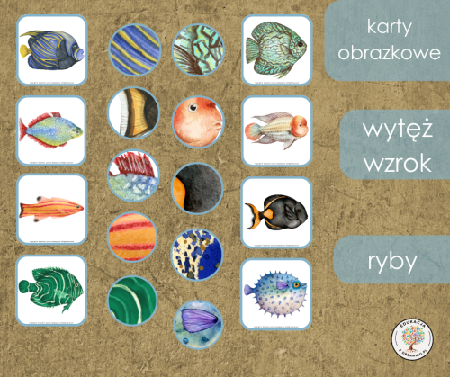 wytęż wzrok - ryby.png